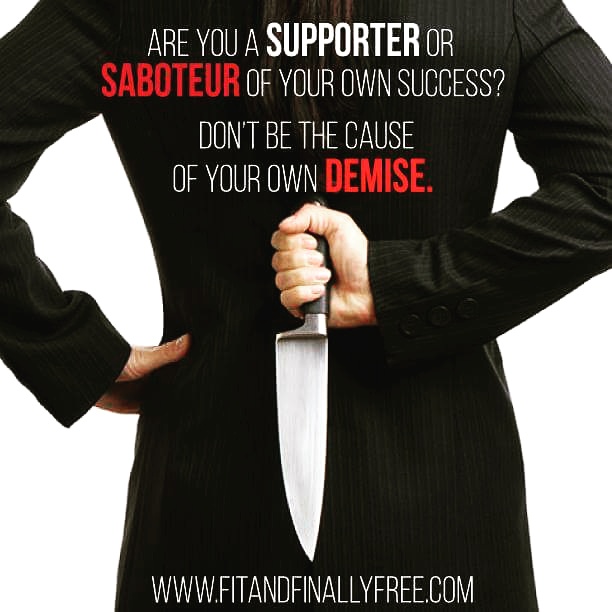 11951396_10207940277124718_6726128707579604642_n